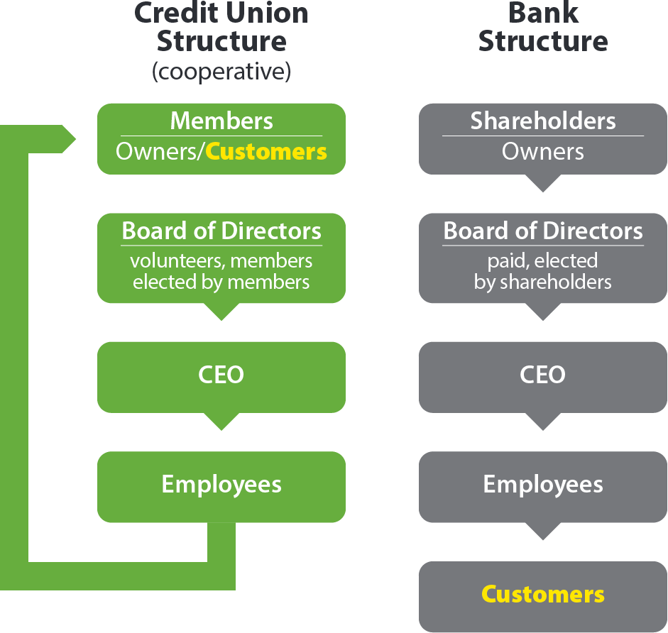Diagram of credit union and bank structures